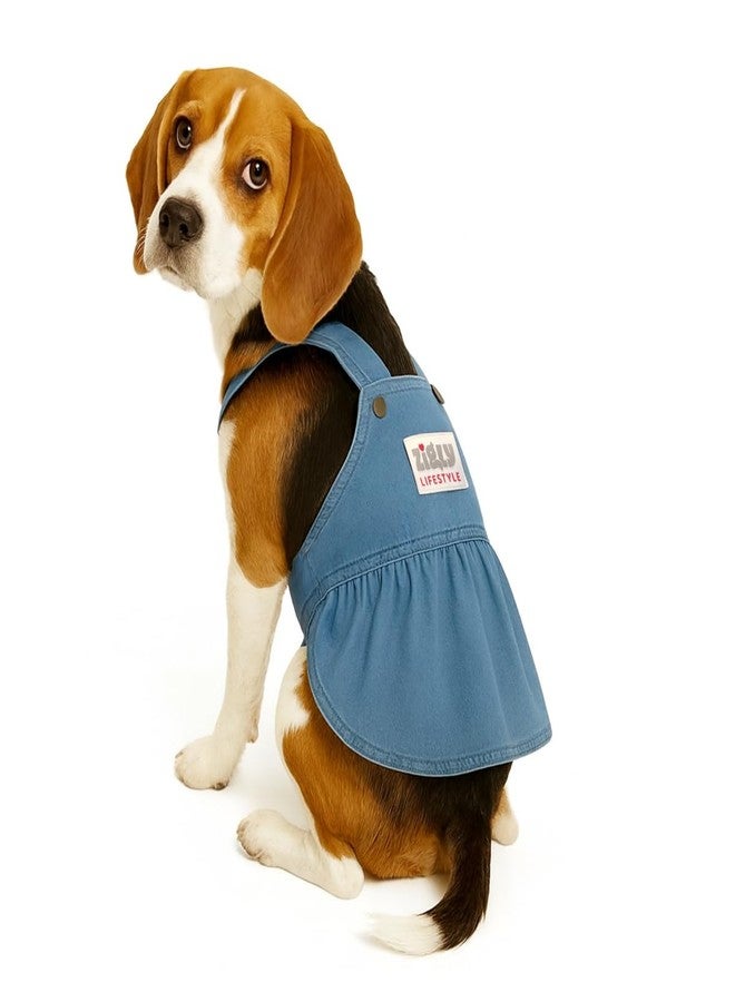 Zigly Lifestyle Denim Frock for Dogs-Blue-M- Soft Lightweight Pet Apparel for Small & Medium Breeds | Stylish Casual Outfit for Pets - Image 1
